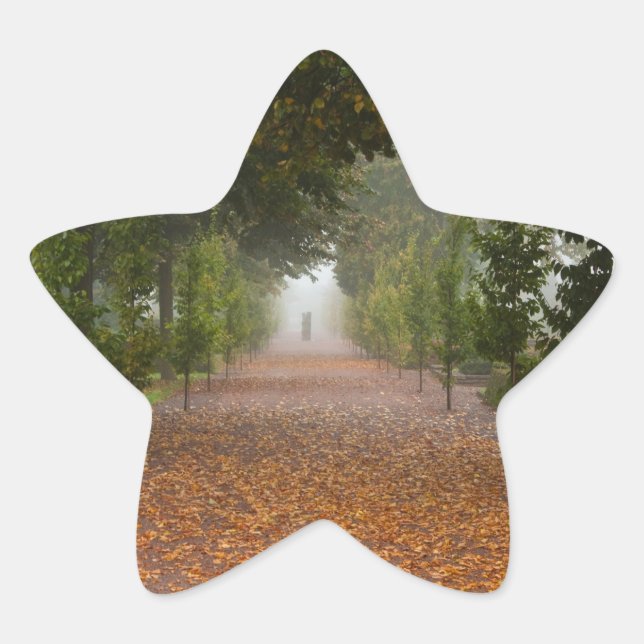 Adesito Estrela Beco no nevoeiro (Frente)