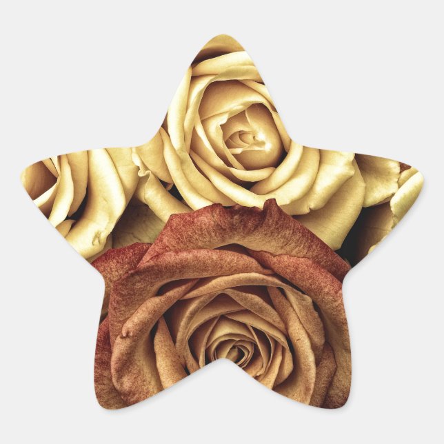 Adesito Estrela Belos Rosas (Frente)