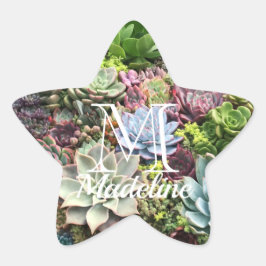 Adesito Estrela Belos Sucultos