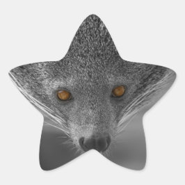 Adesito Estrela Binturong Olhando Para Você