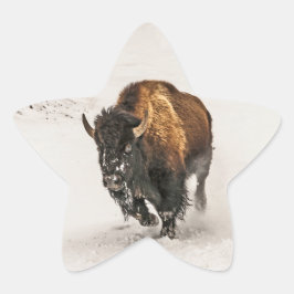 Adesito Estrela Bison Plodim Através da Neve em Yellowstone