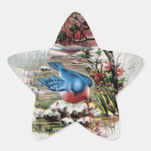 Adesito Estrela Bluebirds no natal vintage do inverno