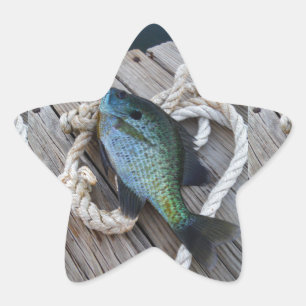 Adesito Estrela bluegill no doca