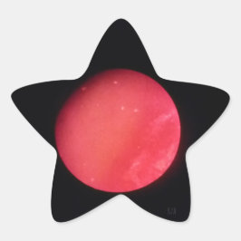 Adesito Estrela Bolsa e adversidade