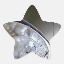 Adesito Estrela Borboleta Cinza azul