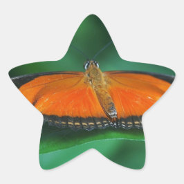 Adesito Estrela Borboleta laranja brilhante e preta na folha