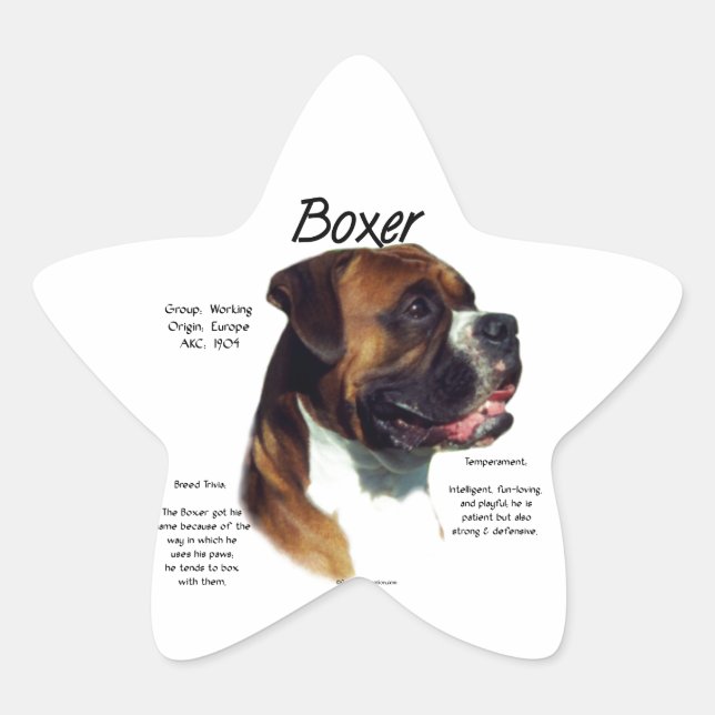 Adesito Estrela Boxer natural colorido encontra a crista (Frente)