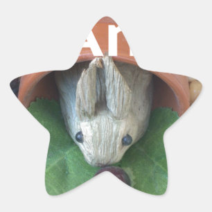 Adesito Estrela Bunny Home Honey Am Home