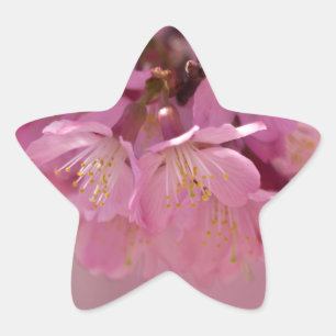 Adesito Estrela Buquê Delicado Rosa de Flores de Cerejeira Sakura