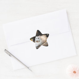 Adesito Estrela Cama de gato fofa – Personalizada