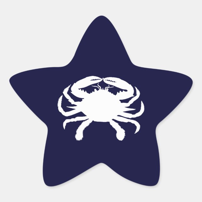 Adesito Estrela Caranguejo em Forma Azul e Branco (Frente)