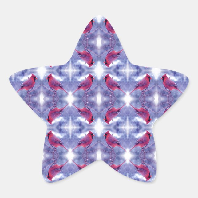 Adesito Estrela Cardeais na neve (Frente)