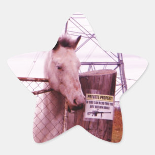 Adesito Estrela Cavalo de lavanda de Propriedade Privada