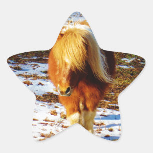 Adesito Estrela Cavalo miniatura marrom e creme na neve.