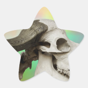 Adesito Estrela Caveira de Buffalo em Fundo de Aquarela