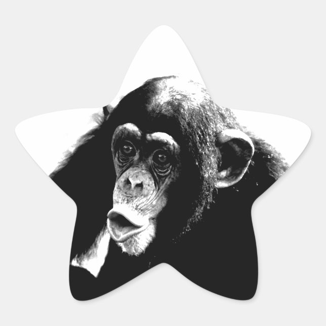 Adesito Estrela Chimpanzé Branco Preto (Frente)