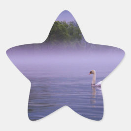 Adesito Estrela Cisne no lago