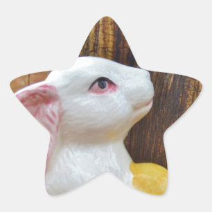 Adesito Estrela Coelhinho da Páscoa do país