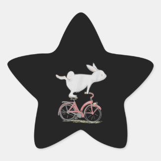Adesito Estrela Coelho Bonito Na Bicicleta De Ciclo De Bicicleta