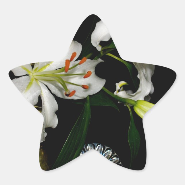 Adesito Estrela Coleção Iirsh Design -Latão e Flor (Frente)