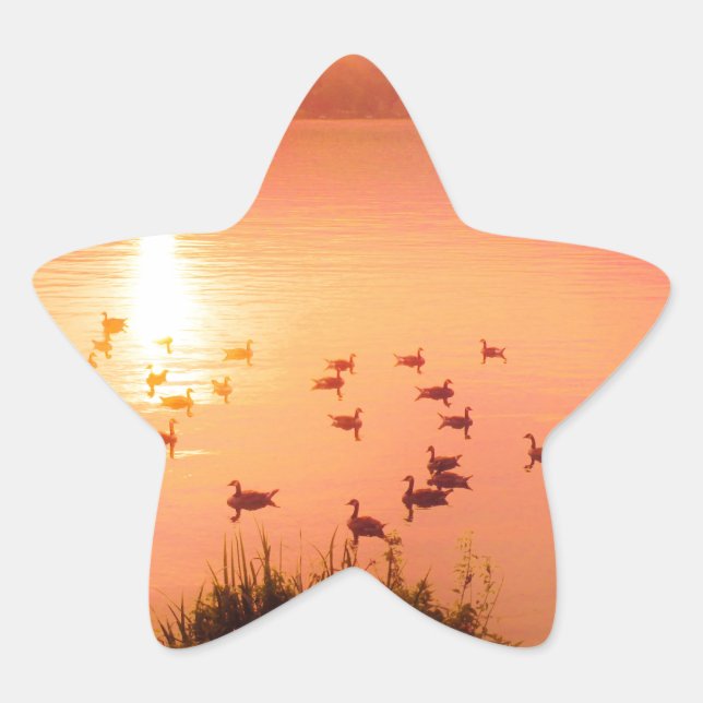 Adesito Estrela Coletor solar rosa e pêssego (Frente)