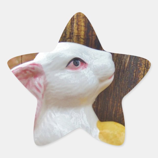 Adesito Estrela Country Páscoa Bunny (Frente)