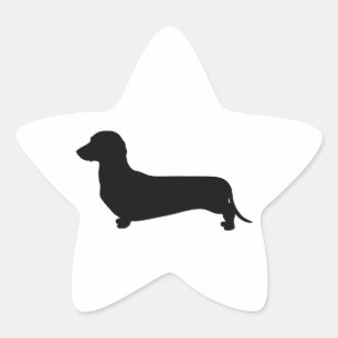Adesito Estrela Dachshund básico