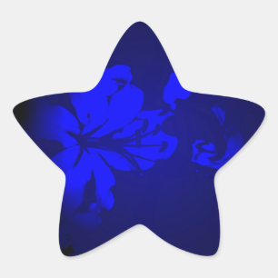 Adesito Estrela Design Irlandês-A Coleção de Flores