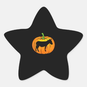 Adesito Estrela Donkey Pumpkin Artigos Engraçados De Donkey Hal