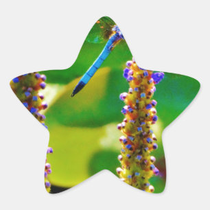 Adesito Estrela Dragonfly azul e flores