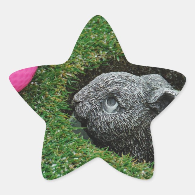 ADESITO ESTRELA DSCF0652.JPG (Frente)