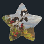 Adesito Estrela Elegante Holly Christmas,<br><div class="desc">Elegante Holly Christmas,  azul sky Foto de Sandy Closs xmas Christmas holly,  berry,  "holly berry" "elegante natal" "flores de natal" "floral azul verde azul"</div>