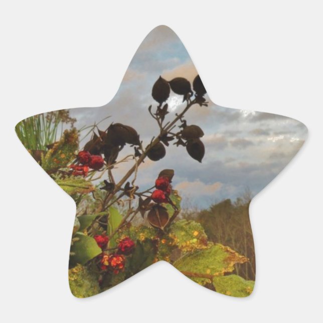 Adesito Estrela Elegante Holly Christmas, (Frente)