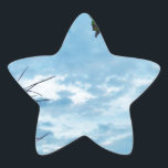 Adesito Estrela Elegante Holly Christmas, céu azul<br><div class="desc">Elegante Holly Christmas,  azul sky Foto de Sandy Closs xmas Christmas holly,  berry,  "holly berry" "elegante natal" "flores de natal" "floral azul verde azul"</div>