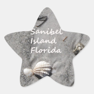 Adesito Estrela Escudos da areia da ilha de Sanibel