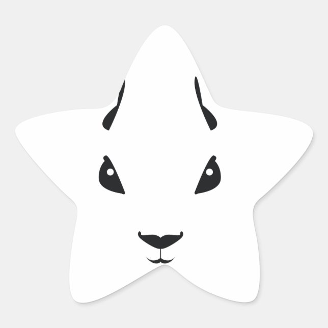Adesito Estrela esquilo (Frente)