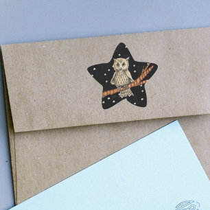 Adesito Estrela Estrelas crescentes da lua da colar da coruja de