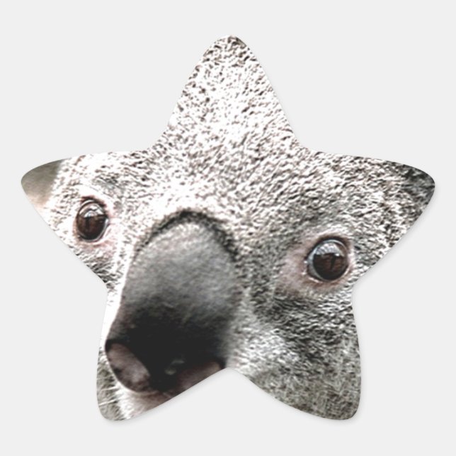 Adesito Estrela Eu Me Importo. (Frente)