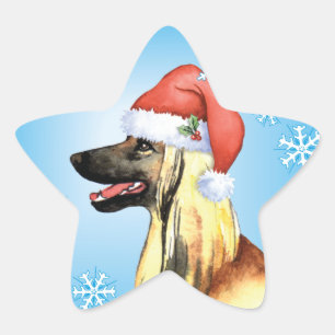 Adesito Estrela Feliz Howliday Afghan Hound