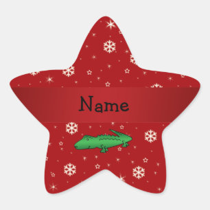 Adesito Estrela Flocos de neve conhecidos personalizados do