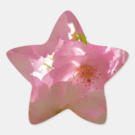 Adesito Estrela Flor de Cereja Japonês