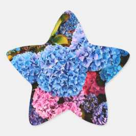 Adesito Estrela Flores azuis e rosa