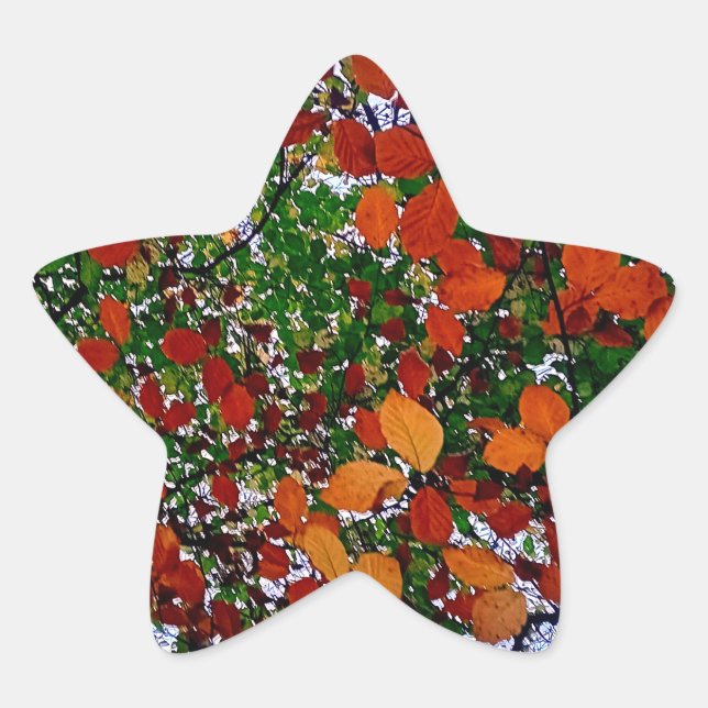 Adesito Estrela Folhas amarelas, verdes e castanhas (Frente)