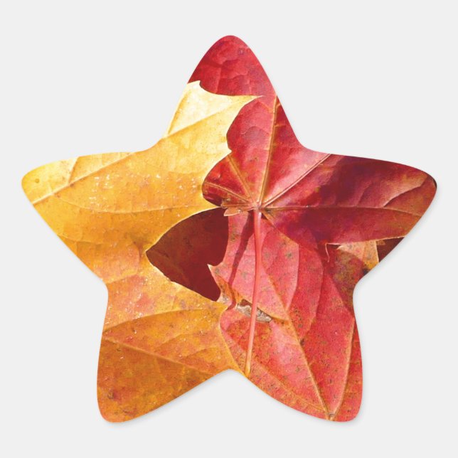 Adesito Estrela Folhas de outono - Incrível! (Frente)