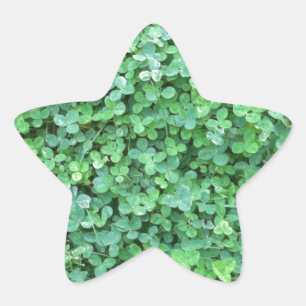 Adesito Estrela Foto da natureza do trevo verde