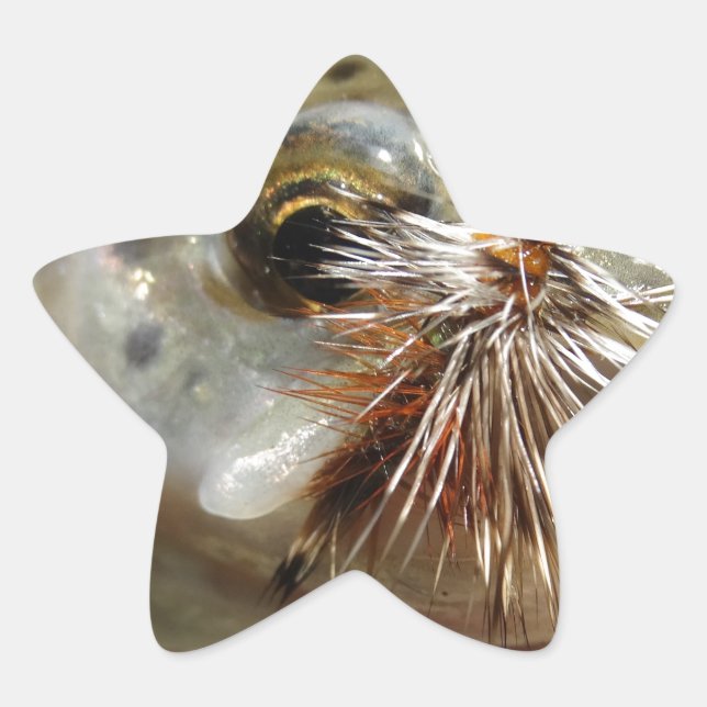 Adesito Estrela Foto do Rainbow Trout (Frente)