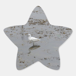 Adesito Estrela Garça-branca-pequena