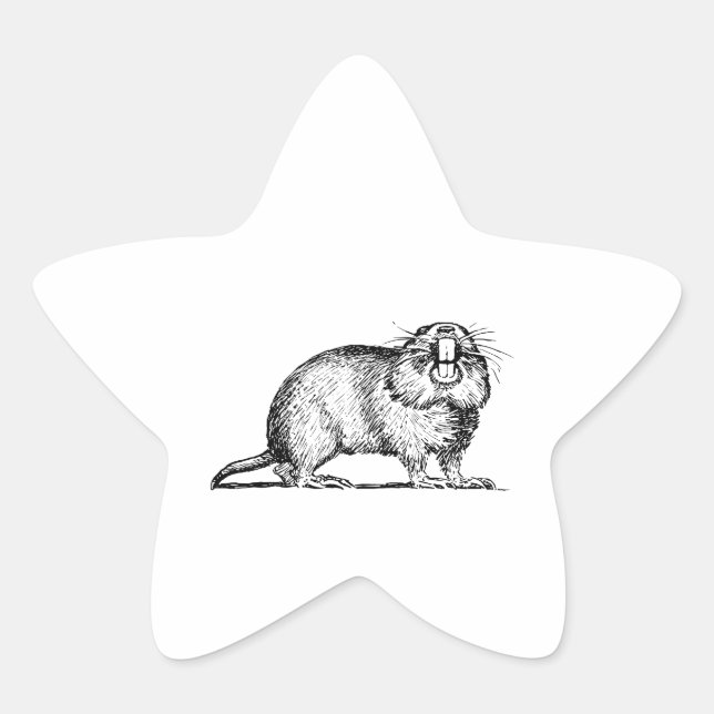 Adesito Estrela Gopher (Frente)