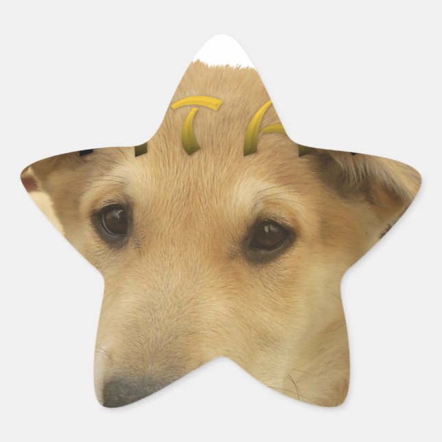 Adesito Estrela "Hakuna Matata Pup" - Amor Sem Preocupação (Frente)