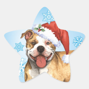 Adesito Estrela Happy Howliday Pit Bull Terrier